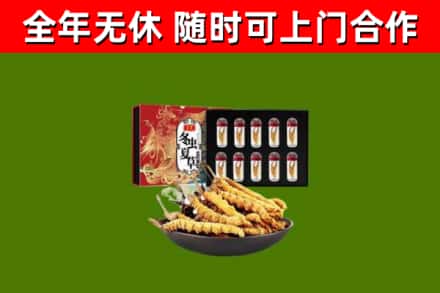 珠晖区回收冬虫夏草价格